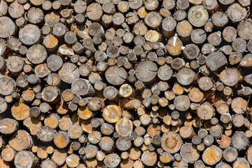 Firewood. Firewood in logs