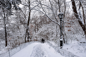 Obraz premium New York City - USA - Dec 17 2020: Winter Morning Snow Storm Hits Central Park New York City