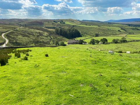 Country landscape, with sheep, fields, hills and moors, next to the, Clitheroe to Skipton road in, Newton, Clitheroe, UK