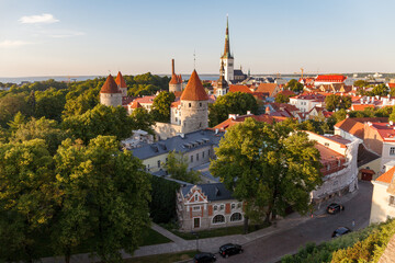 Obraz premium Tallinn old town roof top view. Sunset in summer.