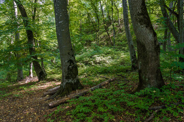 Way of the Narts in Nalchik, Kabardino-Balkaria, Russia.