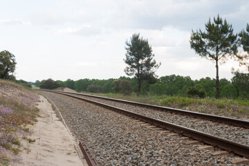 railway tracks in a rural scene with nice pastel sunset in the Bazagona.