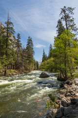 Merced River flowing through Yosemite Valley, Yosemite  National Park, California, USA