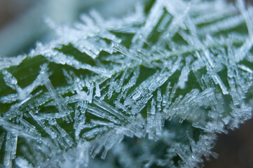 Extreme macro photography of snowflakes of complex structure and elegant shape on green background with natural light.