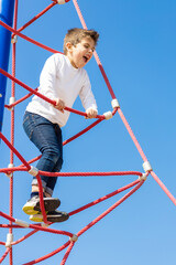 Funny boy climbing in a playground
