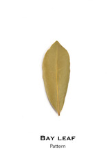 Dryed Bay Leaf on white background