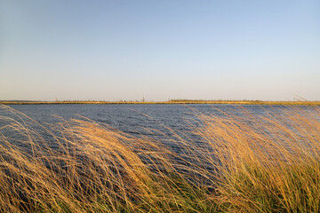 The Yelnya landscape reserve in the Vitebsk region of the Republic of Belarus is a fairly large-scale swamp, the territory of which occupies 200 square kilometers.