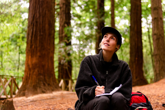 Female explorer sitting in woods and writing in notebook while enjoying vacation in Monte Cabezon Natural Monument of Sequoias in Cantabria