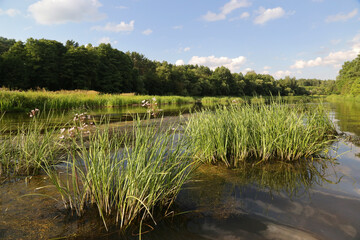 Summer ride in sunny weather on the river Viliya, Belarus