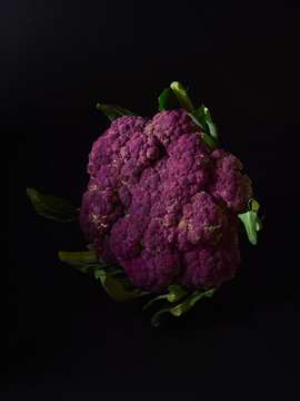 Purple cauliflower head on black background                               