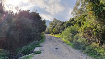 Fototapeta premium road in the mountains