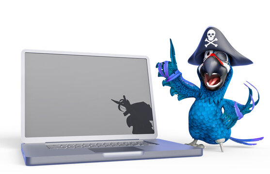 parrot pirate is talking about the laptop