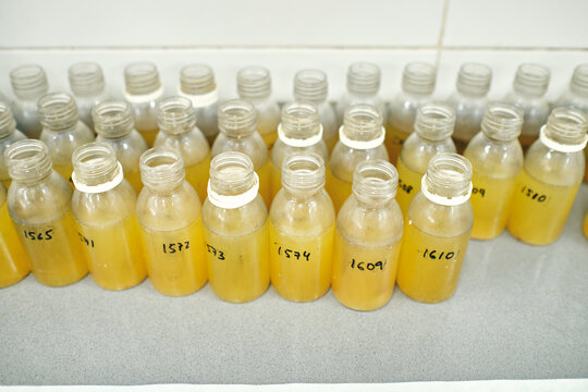 High angle of row of glass bottles with yellow chemical liquid placed on table in laboratory for conducting experiments