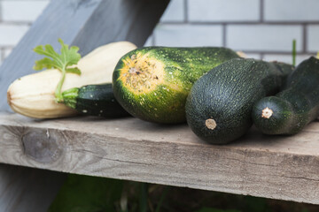 Squash and green zucchini lay on wooden counter