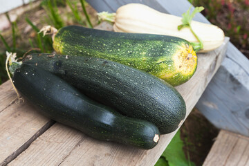 Green zucchini and squash lay on a wooden counter