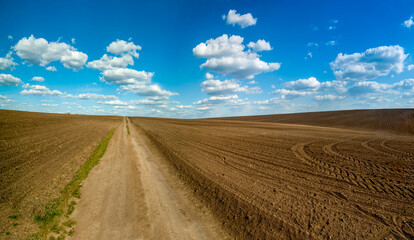 Fototapeta na wymiar plowed field and dirt road in spring, beautiful blue sky with clouds