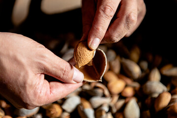 From above crop anonymous person holding in hands opened nutshell with kernel in it against heap of almonds