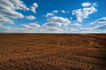 Fotobehang field prepared for sowing and tracks of tractor tires, beautiful blue sky © pavlobaliukh