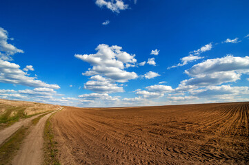 Fototapeta na wymiar field and dirt road in spring, beautiful blue sky with clouds