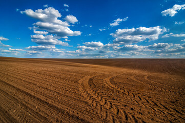 Fototapeta premium plowed field, tracks of tractor tires, beautiful blue sky with clouds