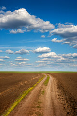 Fototapeta na wymiar plowed field with dirt road in spring