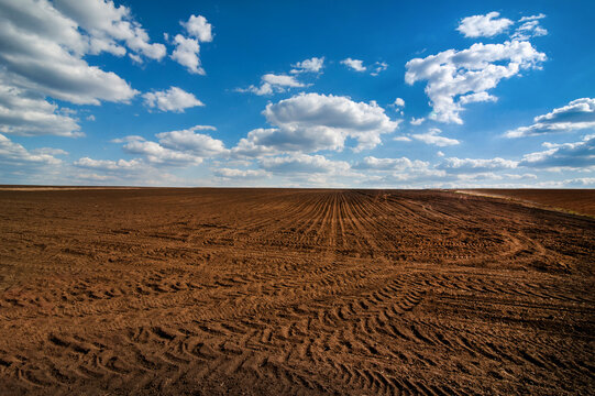 field prepared for sowing and tracks of tractor tires, beautiful blue sky