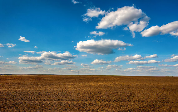 plowed field prepared for sowing and tracks of tractor tires, beautiful blue sky with clouds