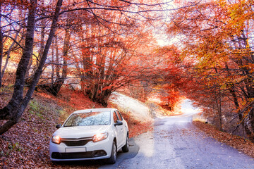 The car is parked in the autumn forest. October 31, 2015 - obrazy, fototapety, plakaty
