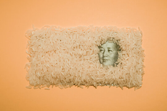 Top view of Chinese Renminbi placed under pile of rice on peach background in studio