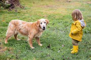 High angle side view of little kid in yellow raincoat playing with friendly fluffy dog on lawn in park