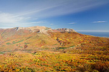 Obraz premium Autumn beech forest. Mountain range Demerdzhi, the Republic of Crimea.