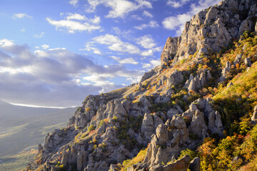 Autumn beech forest. Mountain range Demerdzhi, the Republic of Crimea.