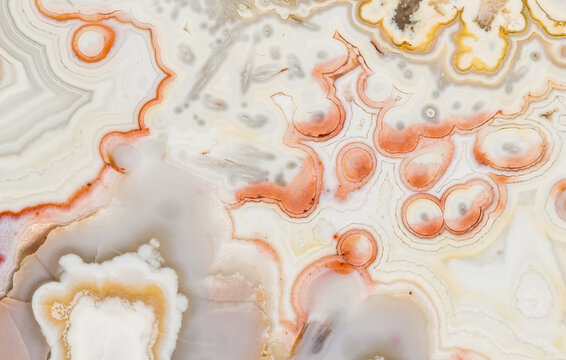 Close Up Of The Structural Detail In A Cut And Polished Agate