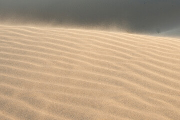 Fototapeta na wymiar A sandstorm in the Arabian desert. Sand close up. Abstract background.
