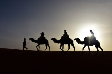 Silhouettes of three camels, a bedouin man and three tourists riding them, walking one behind the other, on the top of a sand dune in the desert, with the sunset behind them 