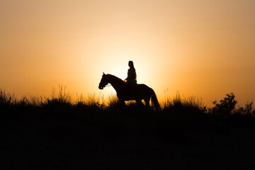 Silhouette of a girl riding a horse under a beautiful sunset