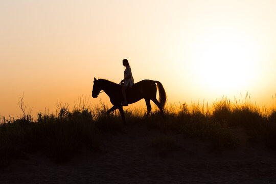 Silhouette of a girl riding a horse under a beautiful sunset