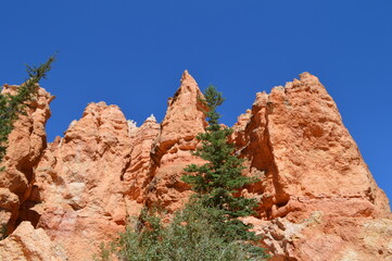 Fototapeta premium Bryce Canyon National Park, Utah