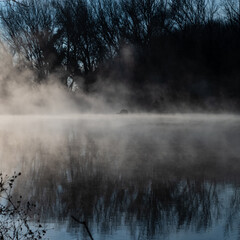 Foggy landscape growing on quiet river water with winter tree branches reflection