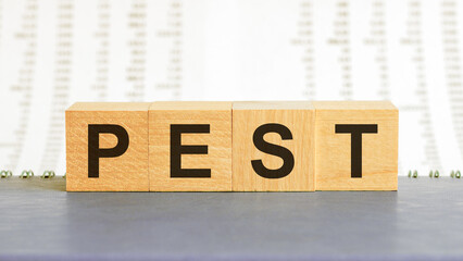 Pest text on wooden table for your desing, concept
