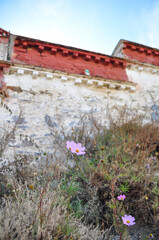 View of the walls of the Potala Palace in Lhasa, Tibet. In the foreground a poor meadow with wild...