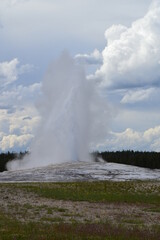 Yellowstone National Park