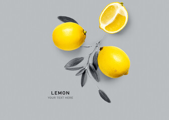 Yellow leLemon fruits composition on gray background. Trendy colors 2021