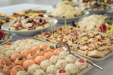 Catering food table set decoration. Table with all kinds of delicious food at party.