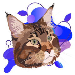 Maine Coon is a big cat. Vector image. Portrait