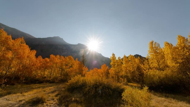 Time lapse of morning sun revealing colorful fall foliage at Bishop Creek in Eastern Sierra Nevada mountains in California