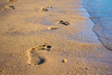 footprints on the beach