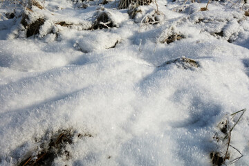 Snowy and frozen beautiful nature during a sunny day