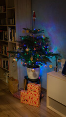 Christmas tree in polish home