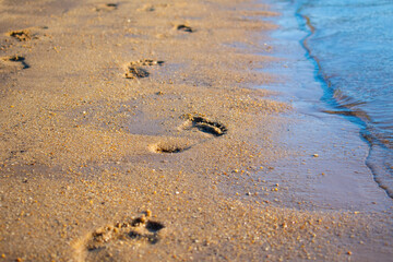 footprints in the sand